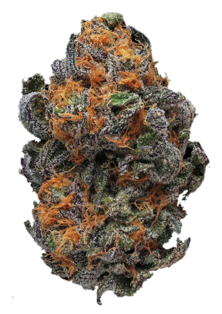 Mariteq flower